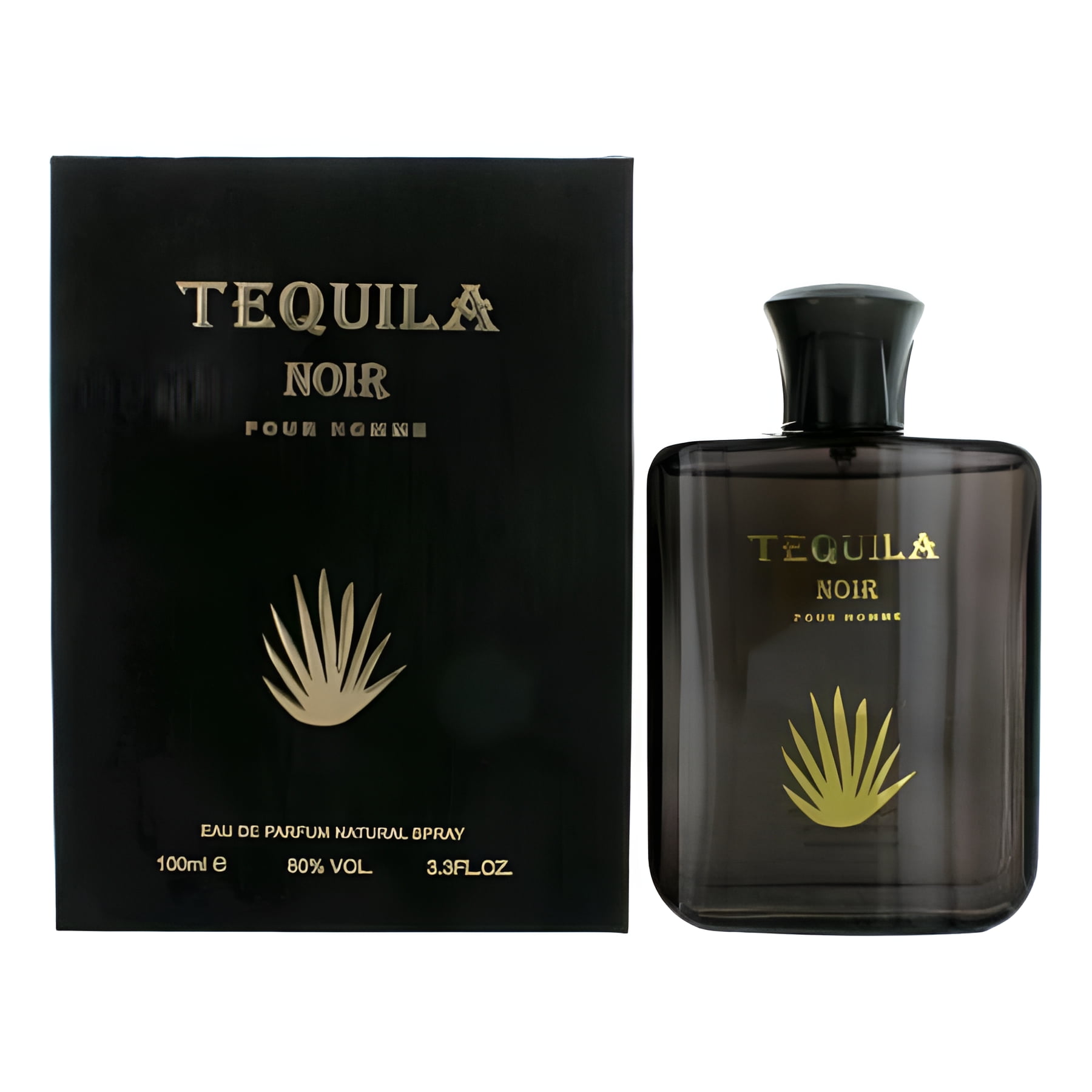 Tequila Men's Tequila Noir EDP Spray 3.3 oz Fragrances 661646259995