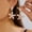 Color2, variant on Starfish Seashell Drop Earrings for Women Conch Sea Shell Earrings Ocean Dangle Earrings Summer Vacation Beach Jewelry for Women