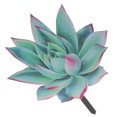 thumbnail image 6 of AURARMLET 1Set Outdoor Ornaments for Yard Acrylic Succulent Shape Garden Stake Decorative, 6 of 8