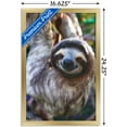thumbnail image 3 of Sloth - Smile Wall Poster, 14.725" x 22.375", Framed, 3 of 3