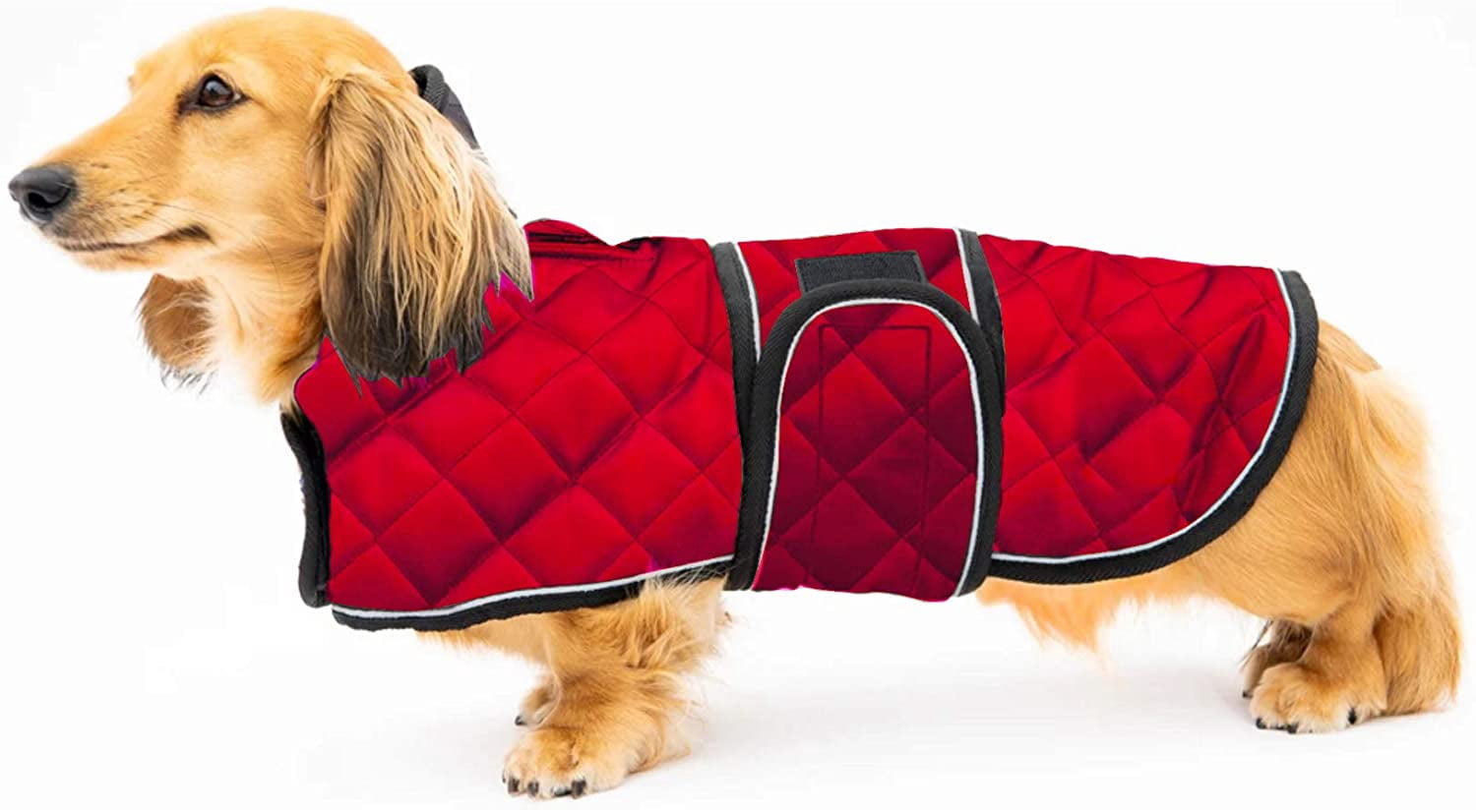 dog thermal jacket