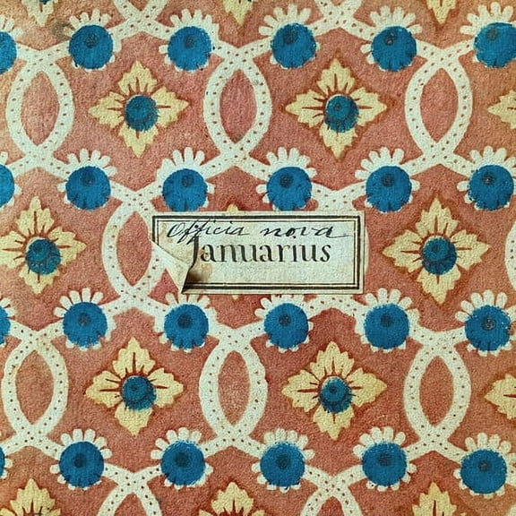 Matty & Mandaworld - Warm You Spoon Feed - Music & Performance - Vinyl [7-Inch]