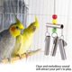 thumbnail image 4 of Soporte para loros, campanas para ardilla, campanas medianas y grandes, juguetes para loros, campanas de acero inoxidable, juguetes para jaula de loros Rojo Verde, 4 of 5
