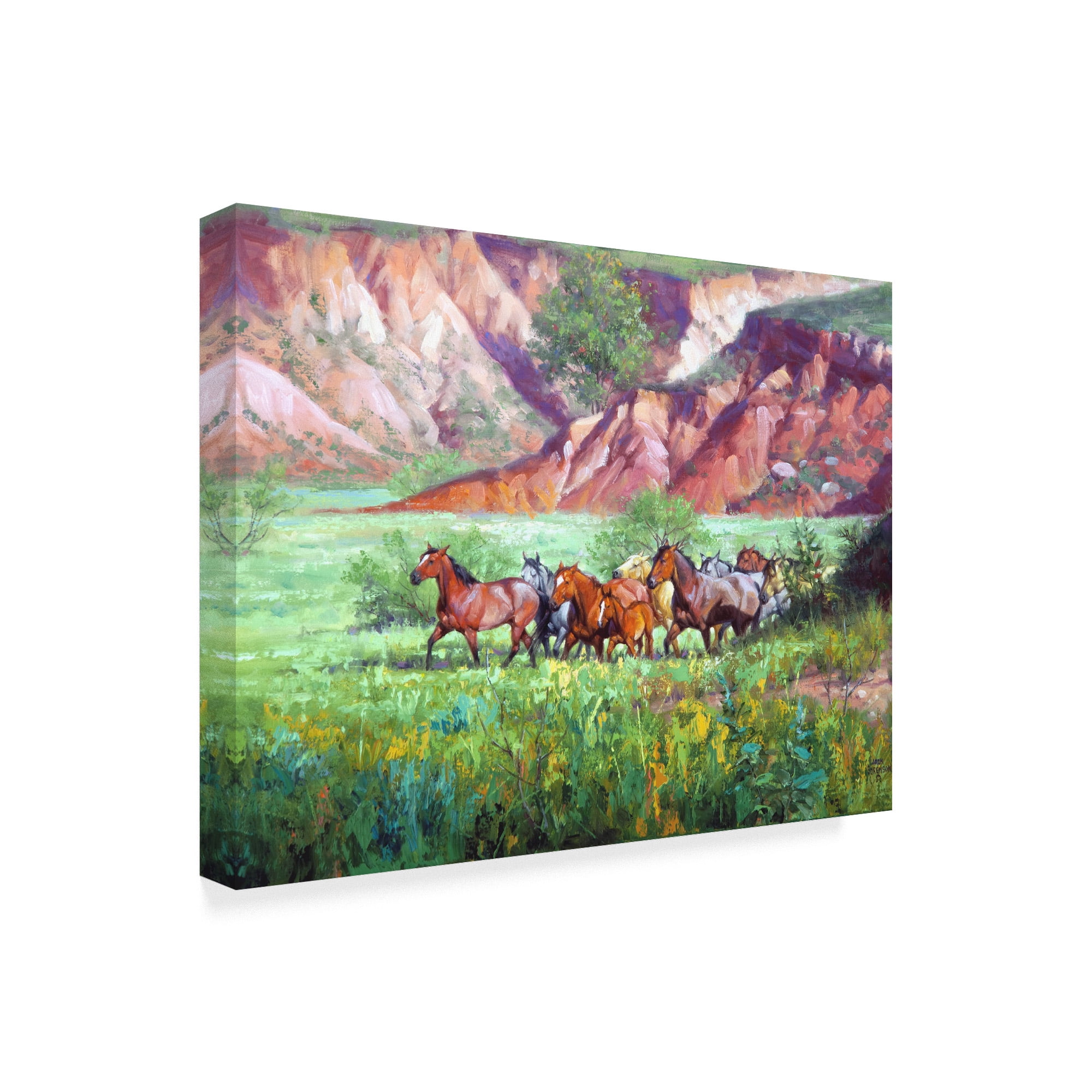 Trademark Fine Art 'On the Canyon Floor' Canvas Art by Jack Sorenson