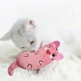 thumbnail image 4 of oshhnii 2xChew Grinding Play Toys Pillow Catnip Toy Cat Scratch pink 2 Pcs, 4 of 8