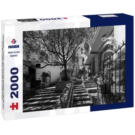 Noah Jigsaw Puzzle Durango, Victoria de Durango colorful colonial and historic city center near the central Plaza de Armas and the cathedral basilica in black white 2000 pieces