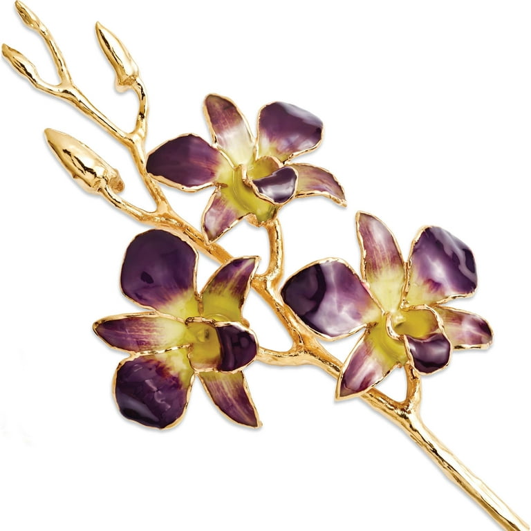 Lacquer Dipped 24k Gold Trimmed Purple and Yellow Dendrobium Orchid Stem Lacquer Dipped 24k Gold Trimmed Purple and Yellow Dendrobium Orchid Stem