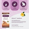 thumbnail image 2 of Amber NaturalZ Adizone C for Cats | Herbal Supplement for Mobility & Joint Support 4oz, 2 of 6