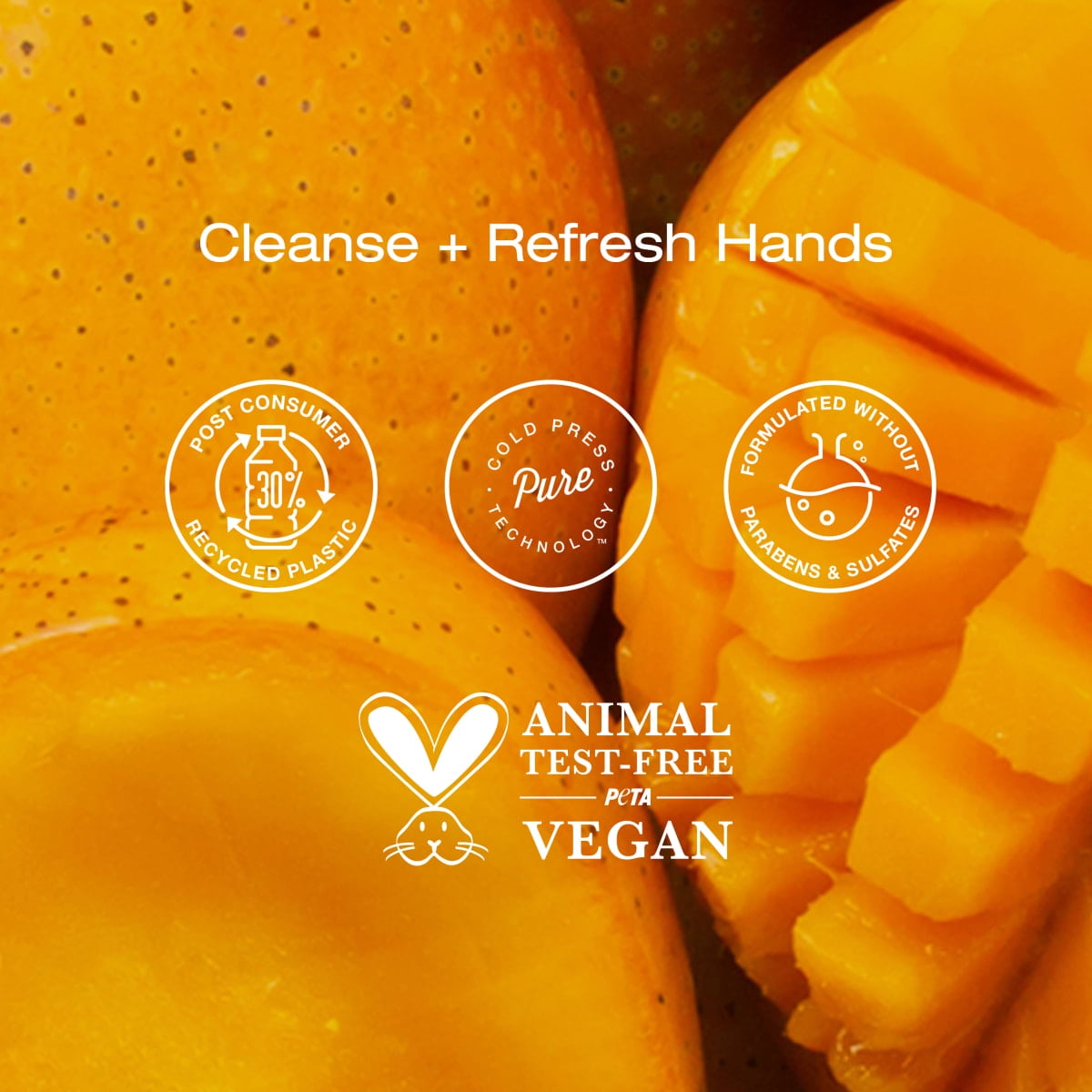 Raw Sugar Simply Hand Wash, Raw Coconut + Mango Hand Soap, 16.9 fl oz