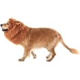 thumbnail image 3 of Disfraz para perros Ropa para gatos Juguetes para perros Trenzas rizadas Sombreros Pelucas Estilo Lindo Accesorios para el cabello para mascotas (Marrón) JAMW Sencillez, 3 of 5