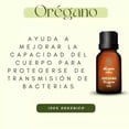 thumbnail image 2 of 3X 2 Aceite Esencial de Orégano Oleum Vitae 100% Puro y Orgánico 15ml, 2 of 4