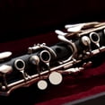 thumbnail image 3 of Toddmomy 17 Pcs Accessoires pour Tablette Instrument Blanc Matériau Synthétique Accessoire de Performance, 3 of 8