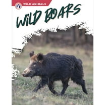 Wild Boars, (Hardcover)