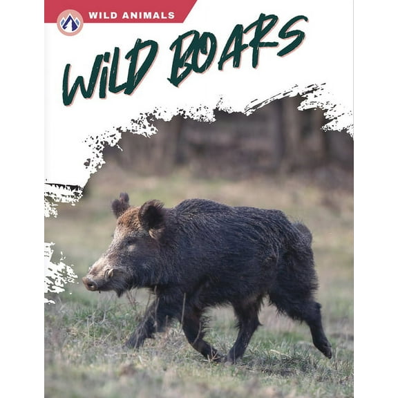 Wild Boars, (Hardcover)