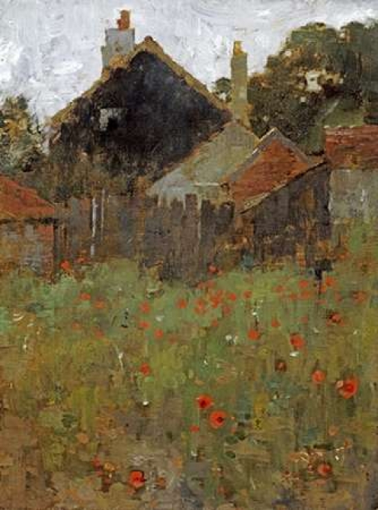 The Poppy Field Can