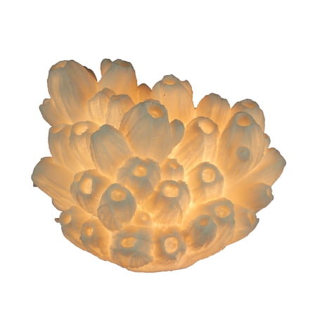 Zeckos White Faux Tube Coral Decorative Coastal Art Accent Lamp