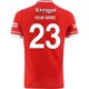 thumbnail image 3 of Camiseta de rugby alternativa de Down GAA 2024 para hombre, talla S-5XL (nombre y número personalizados), 3 of 5