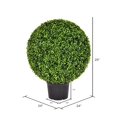 thumbnail image 2 of Pemberly Row 24" Contemporary Plastic Artificial Boxwood Ball in Green, 2 of 8