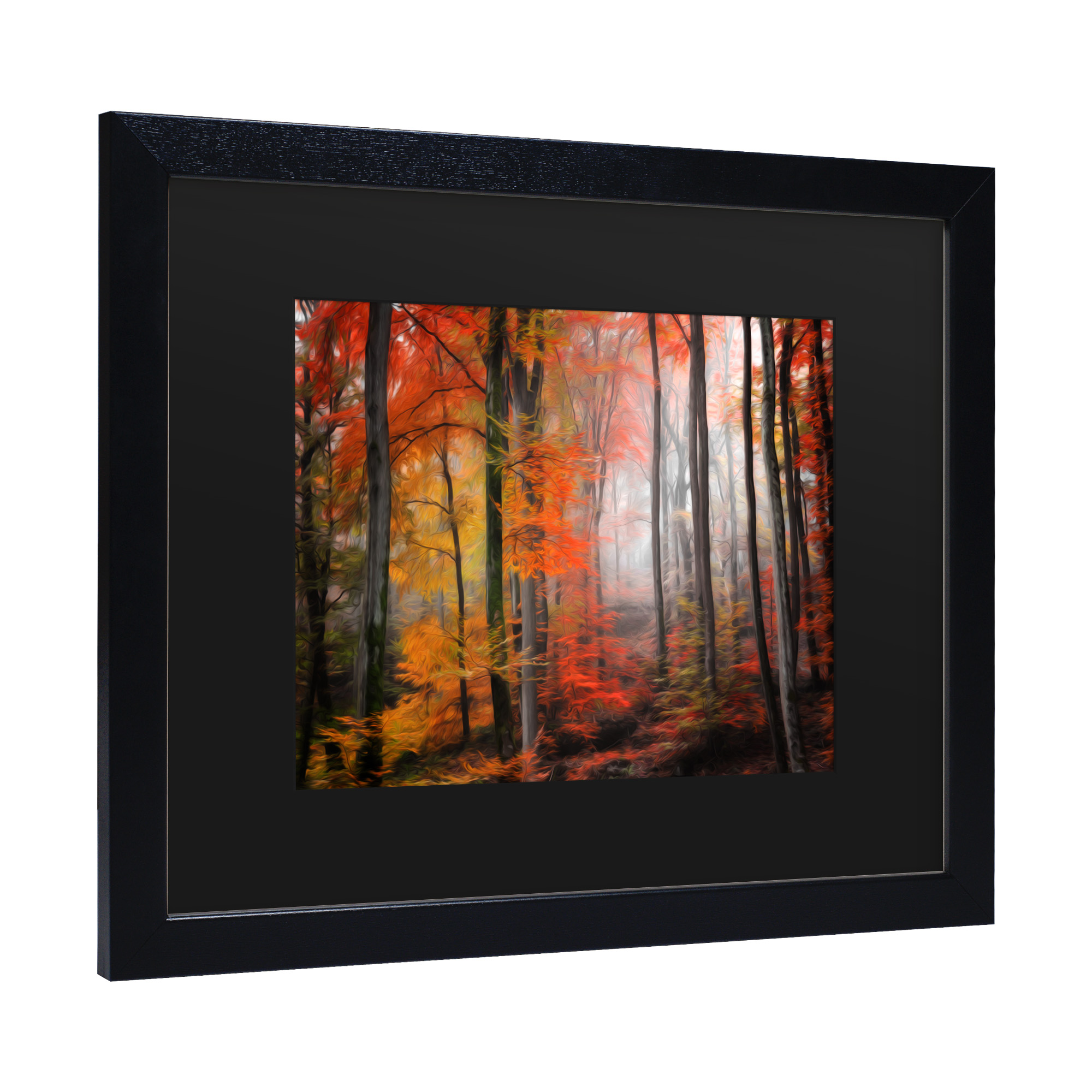 Trademark Fine Art 'Wildly Red' Canvas Art by Philippe Sainte-Laudy