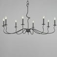 thumbnail image 3 of 27708BO Maxim Lighting Padrona - 8 Light Chandelier-27.75 Inches Tall and 48.5 Inches Wide     -Traditional Installation, 3 of 4
