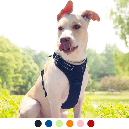 Rabbitgoo Dog Harness No Pull Adjustable Safe Comfort Pet Vest