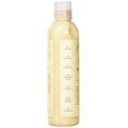 thumbnail image 3 of Shea Moisture Jamaican Black Castor Oil Strengthen, Grow & Restore Styling Lotion 8 oz (Pack of 3), 3 of 3