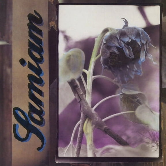 Samiam - Samiam - Black/purple Splatter - Music & Performance - Vinyl