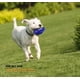 thumbnail image 4 of Juguetes chirriantes para perros para masticadores agresivos, pelota de tenis de goma con chirriador, juguetes masticables para mascotas resistentes y duraderos casi indestructible, 4 of 4