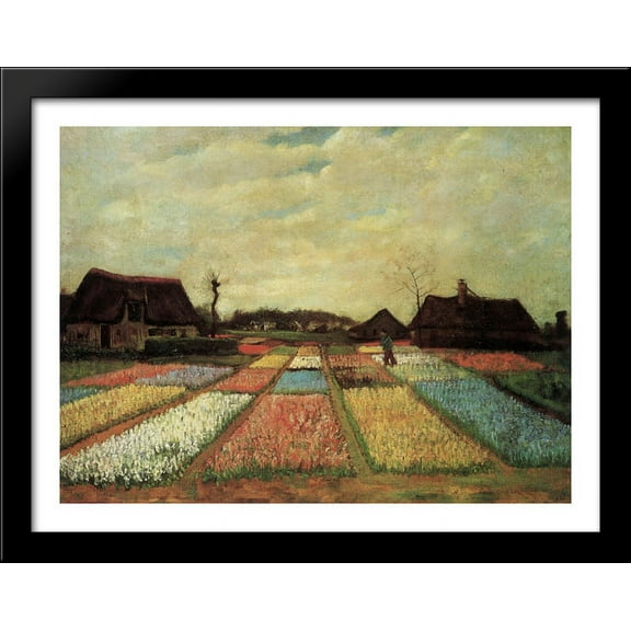 Bulb Fields 36x28 Large Black Wood Framed Print Art by Vincent van Gogh