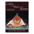 thumbnail image 1 of Pre-Owned Calm in the Face of the Storm: Spiritual Daily Practice for the Peacemaker (Paperback) 0615155332 9780615155333, 1 of 1