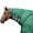 Green, variant on ARMORFLEX Challenger II Medium Weight Horse Blanket Neck Cover | Color Navy | X-Large