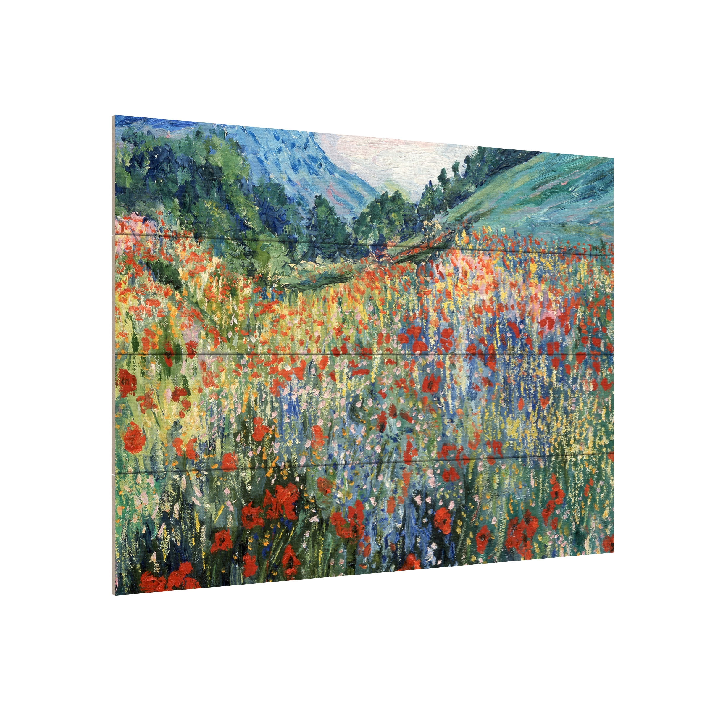 Trademark Fine Art 'Field of Wild Flowers' Wooden Wall Art Art by Rio