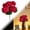 Red, variant on Artificial Geranium Plant Realistic Silk Flowers for Outside UV Resistant Faux Geraniums Flowers for Indoor Outdoor Home Garden Office Decoration (White)
