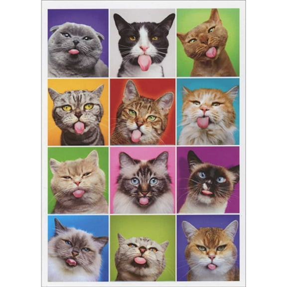 Avanti Press Photos of Cats Sticking Out Tongues Inside Squares Funny / Humorous Birthday Card