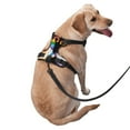 thumbnail image 2 of Fotbe Happy Pride Gnome Pattern Dog Harness, No-Pull Pet Harness with 2 Leash Clips, Adjustable Soft Padded Dog Vest with Easy Control Handle for Large Dogs-Large, 2 of 6