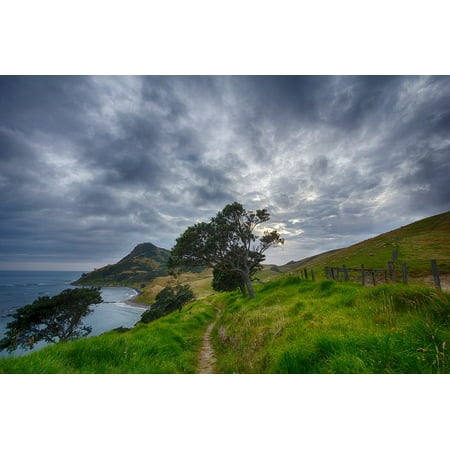 Canvas Print Corum Andel Trail Path New Zealand Hiking Sheep Stretched Canvas 10 x