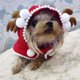 thumbnail image 2 of Mascota perro gato con sombrero cachorro invierno con capucha chal cubierta chal para Navidad, S Rojo Verde RV011031-01214SDJ, 2 of 5