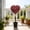 Pink, variant on Chanana Artificial Heart Boxwood Topiary Valentine's Day Heart Shaped Topiary Trees, Faux Boxwood Decoration Ball Tree with Planter Pots for Indoor Outdoor Home Porch Decor