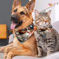 thumbnail image 4 of Cat Breathable Chiffon Yarn Puppy Pet Collar Set (Pack of 2) - Translucent Light Material, 40.6x40.6x58/16x16x22.8in, 53.3x53.3x76.2/20.9x20.9x30 in., 4 of 5