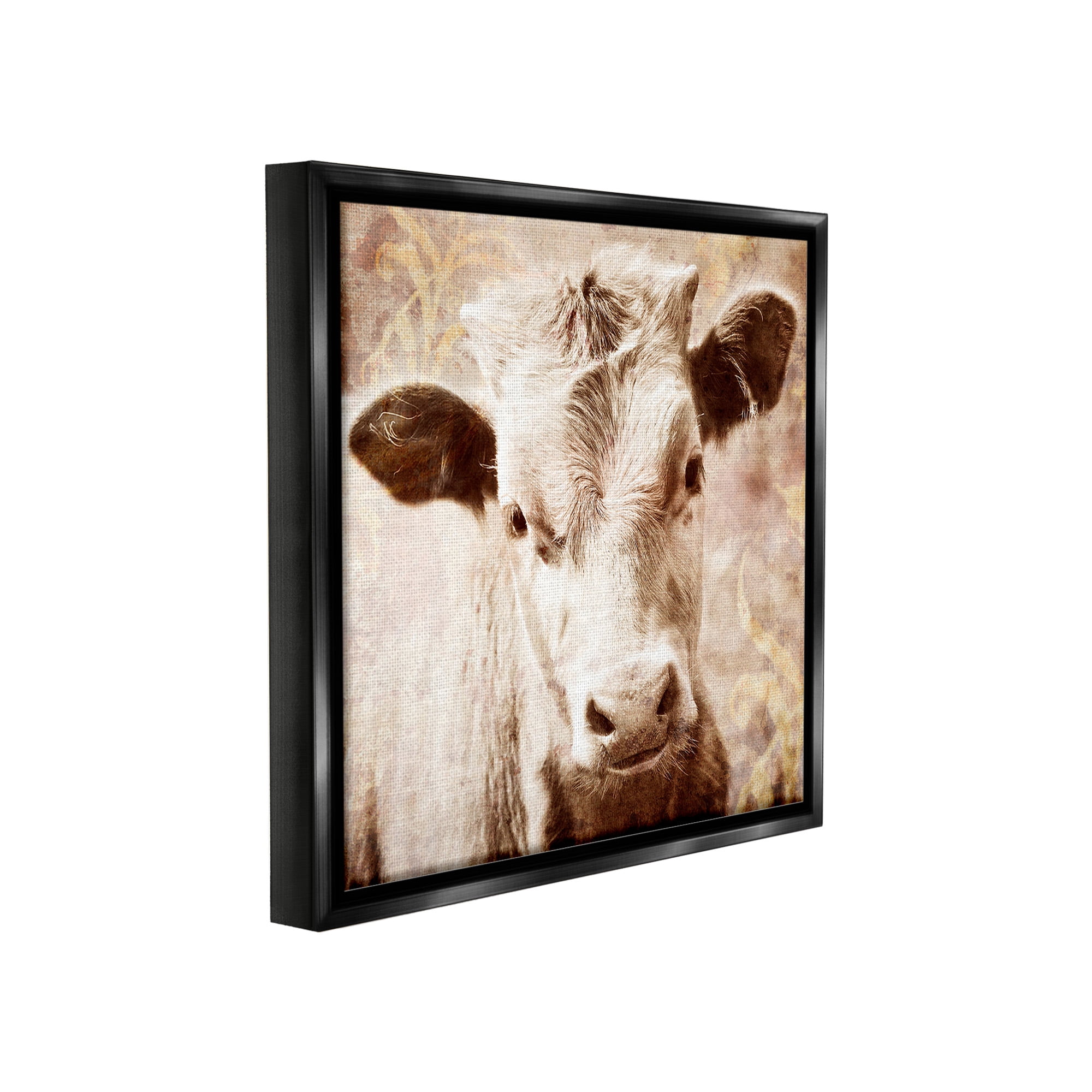 Stupell Industries Abstract Sepia Cattle Animals & Insects Photography Black Floater Framed Canvas Art Print Wall Art, 25 x 25