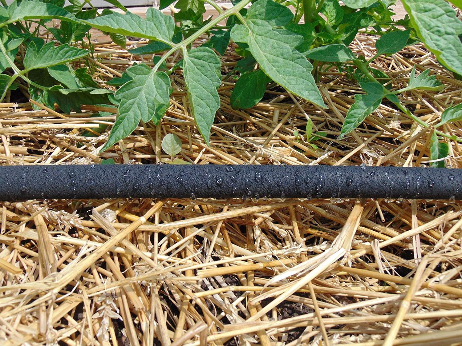 Dramm 17062 Ring Soaker Hose, 10 Foot, Black