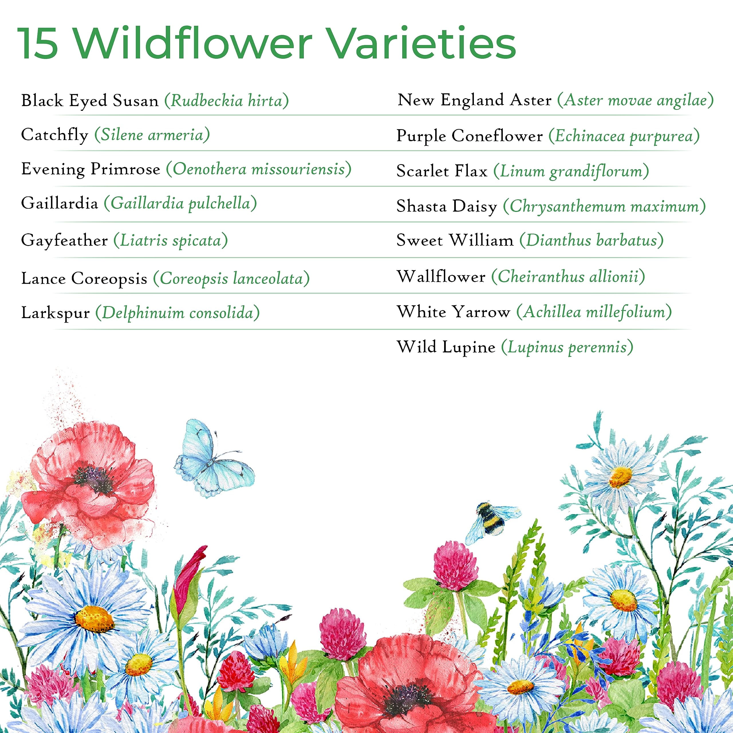 Maryland Wildflower Seed Mix, Covers 325 MVR1&nbsp;Sq Ft, 15 Flower Varieties, Over 50,000 Seeds, Created By Nature