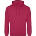 thumbnail image 1 of Awdis  Adult College Hoodie, 1 of 2