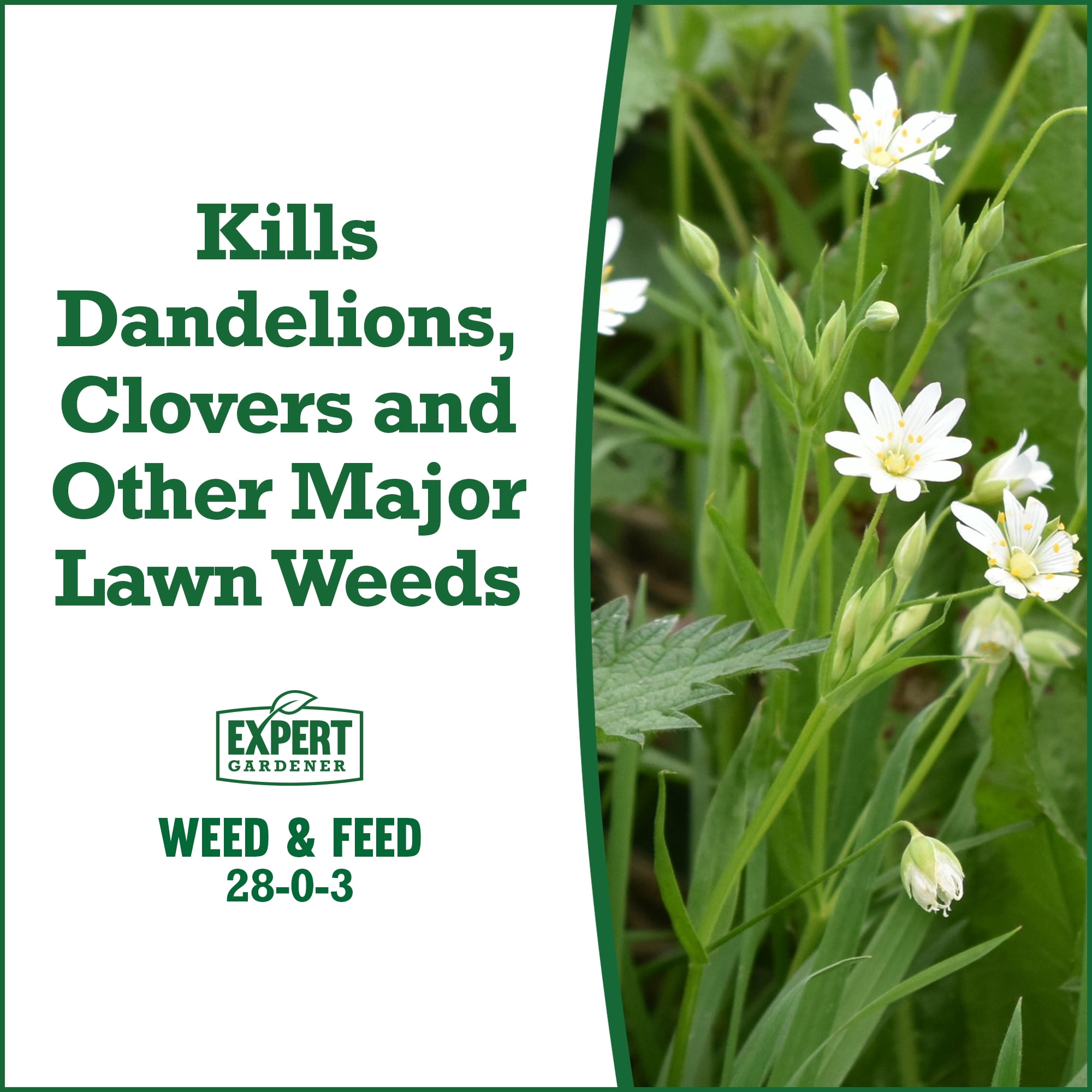 Expert Gardener 15 000 Square Feet Weed And Feed Lawn Fertilizer 28 Expert Gardener 15 000 Square Feet Weed And Feed Lawn Fertilizer 28 0 3 Com