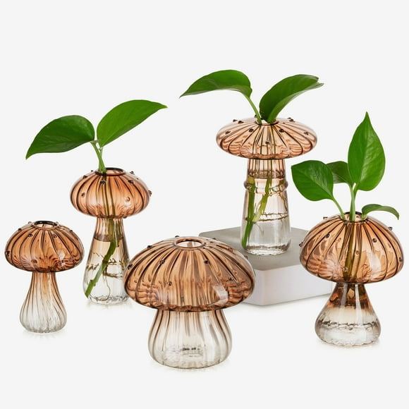Set de 5 Maceteros de Vidrio con Forma de Hongo ámbar Glasseam