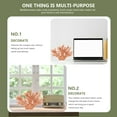 thumbnail image 6 of OUNONA Desktop Coral Decoration Decorative Coral Sculpture Home Accent Figurine Set, 6 of 6