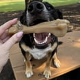 thumbnail image 2 of Masticable Nylabone Gourmet Bone Baby Bone, costilla grande, hasta 50 libras, 2 of 9