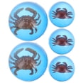 thumbnail image 1 of KAKOWELY 5 pelotas de goma para fiestas infantiles, premios de carnaval, fiestas de cumpleaños, 1 of 5