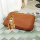 thumbnail image 4 of Ganfancp Winter Pet Warm Cats Litter Espesado Extraíble y Lavable de Pana Gatos Durmiendo Mat Antideslizante y Resistente a Las Manchas de Suciedad Cats Mat Adecuado para Hasta 13 Libras Ofertas Del, 4 of 5