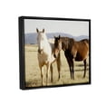 thumbnail image 3 of Stupell Rural Horses Animal Nature Photography Animals & Insects Photography Black Floater Framed Art Print Wall Art, 3 of 6